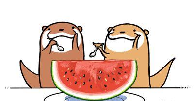 娱乐也要理性吃瓜更要守法,理性吃瓜指南